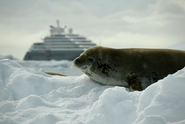 Antarctica